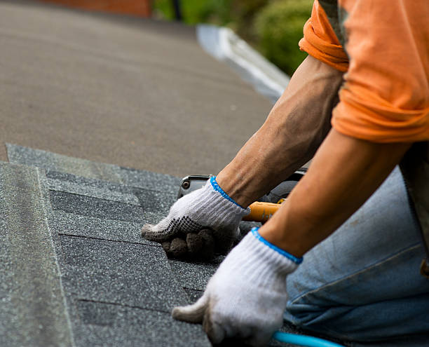 Best Roof Maintenance Services  in Grosse Pointe Farms, MI