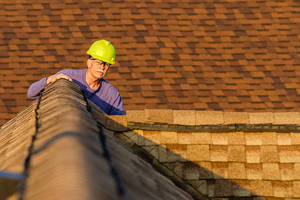 Roof Gutter Cleaning in Grosse Pointe Farms, MI