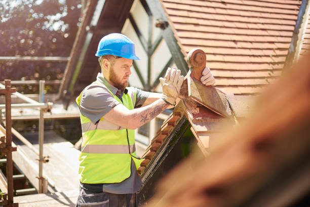 Best Roof Gutter Cleaning  in Grosse Pointe Farms, MI